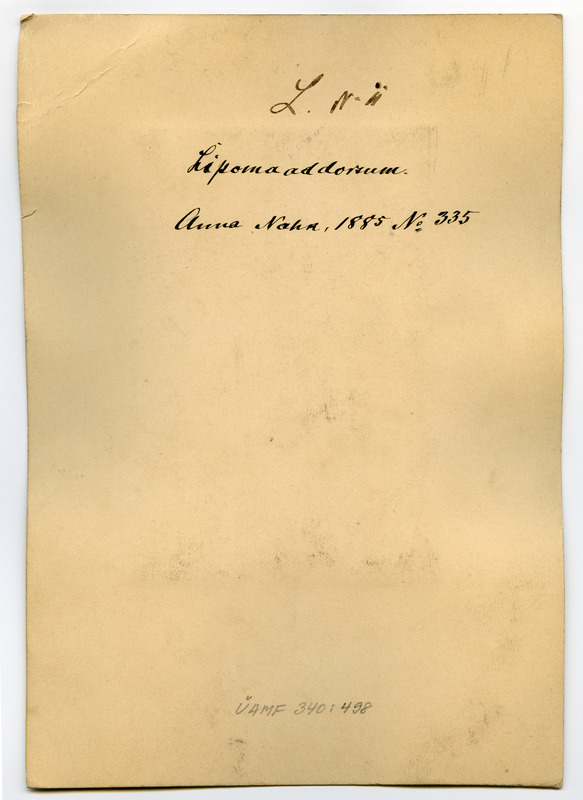Foto haigusjuhtumist. Lipoma addoisum. Kasvaja. Patsient Nahk, Anna.