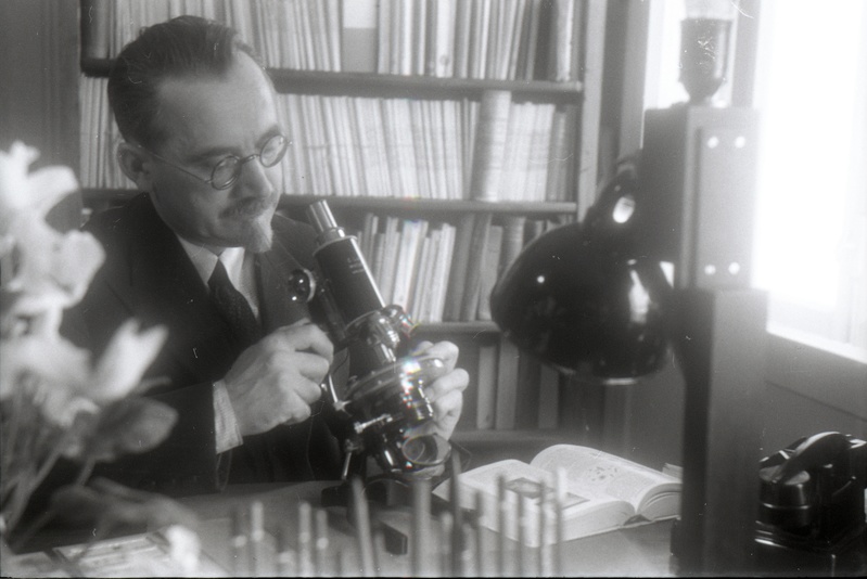 TÜ patoloogilise anatoomia kateedri juhataja (1930-62), arstiteaduskonna dekaan (1946-49) prof Albert Valdes mikroskoobiga