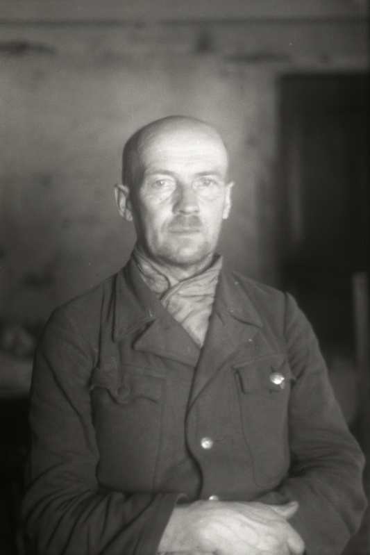 Metsavaht Vaher