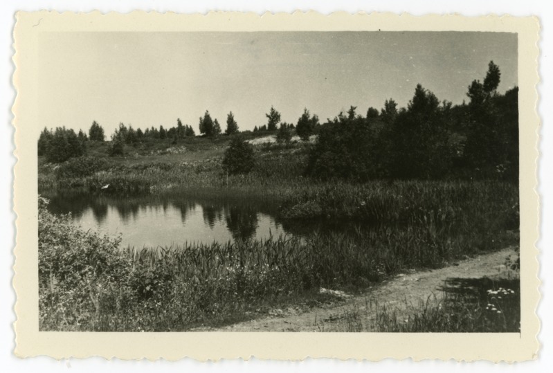 Looduspilt Jakonovo ümbrusest, juuli 1955