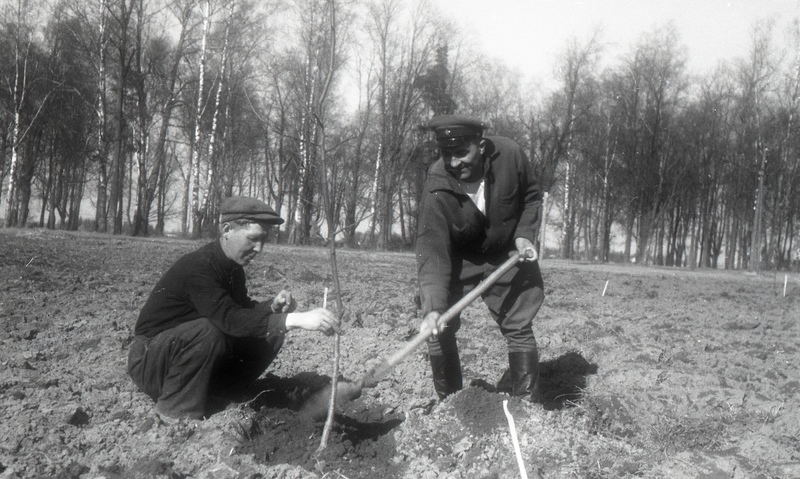 Kaks mees aiamaal (paremal TRÜ  leninismi-marksismi aluste kateedri vanemõpetaja (1947-49) Artur (Arthur Richard) Lombak (ooperilaulja Margarite Voitese isa))