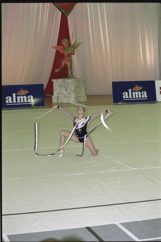 Rahvusvahelised iluvõimlemisvõistlused Miss Valentine 2000 Tartu ülikooli spordihoones, 11.-12.veebr. 2000