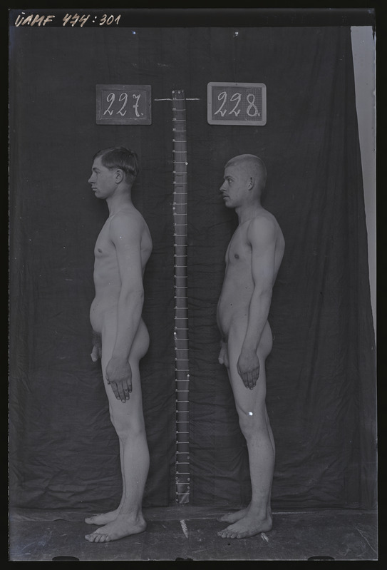 Füüsilise antropoloogia pildistus