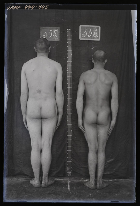 Füüsilise antropoloogia pildistus