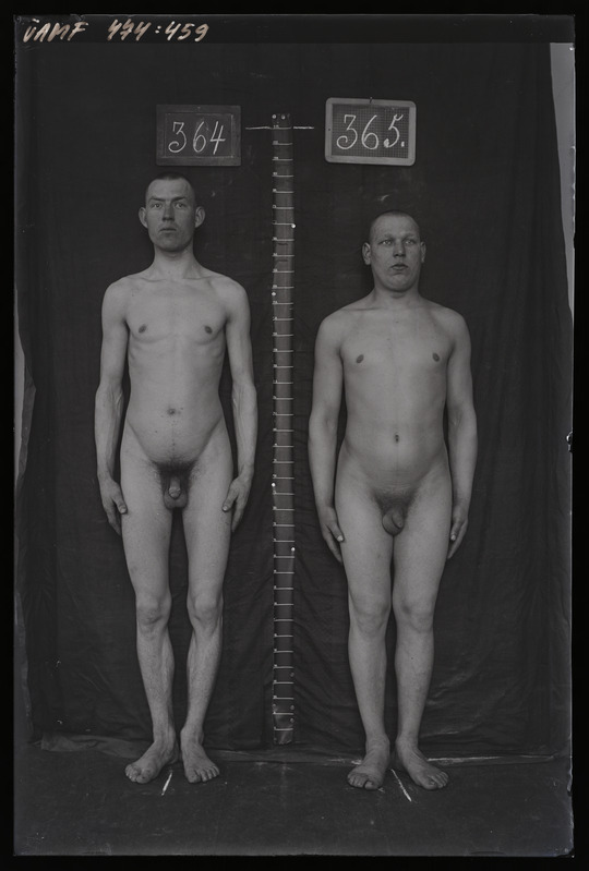 Füüsilise antropoloogia pildistus