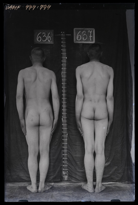 Füüsilise antropoloogia pildistus