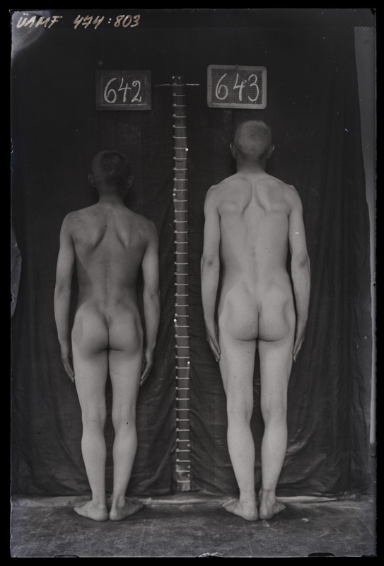 Füüsilise antropoloogia pildistus