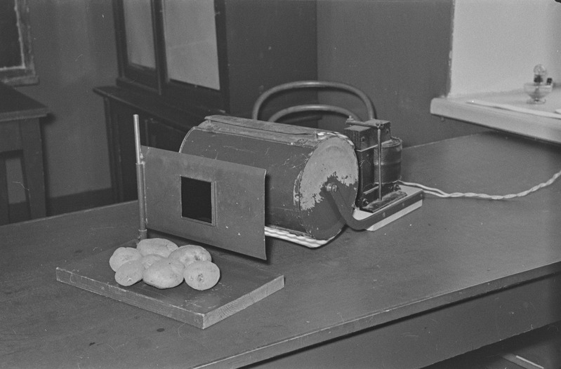 Taimefüsioloogia õppepraktikum Tartu ülikoolis. Vanemõpetajad Aleksander Perk ja Heigo Miidla juhendamas. 19. märts 1960. a.