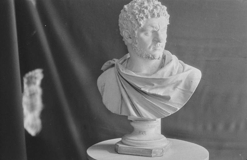 TRÜ Klassikalise Muinasteaduse Muuseum. Kujud. N. Raid. 2. märts 1957. a.