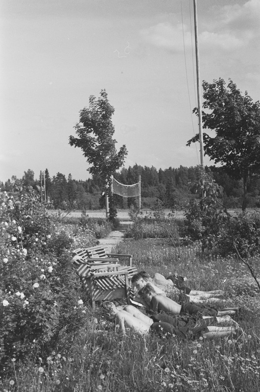 Kääriku. Suvi 1954. a.