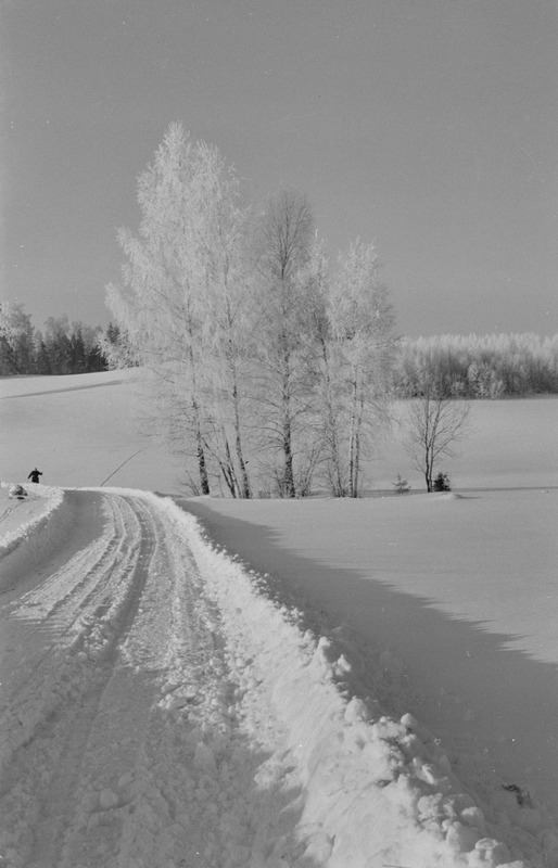 Suusaspordi laager Käärikul. Veebruar 1958. a.