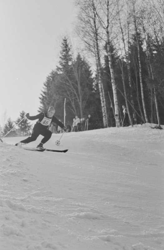 Eesti NSV esivõistlused suusatamises Otepääl. 23.-24. märts 1959. a.