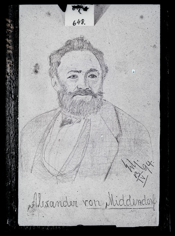 Mehe portree. Alexander von Middendorf