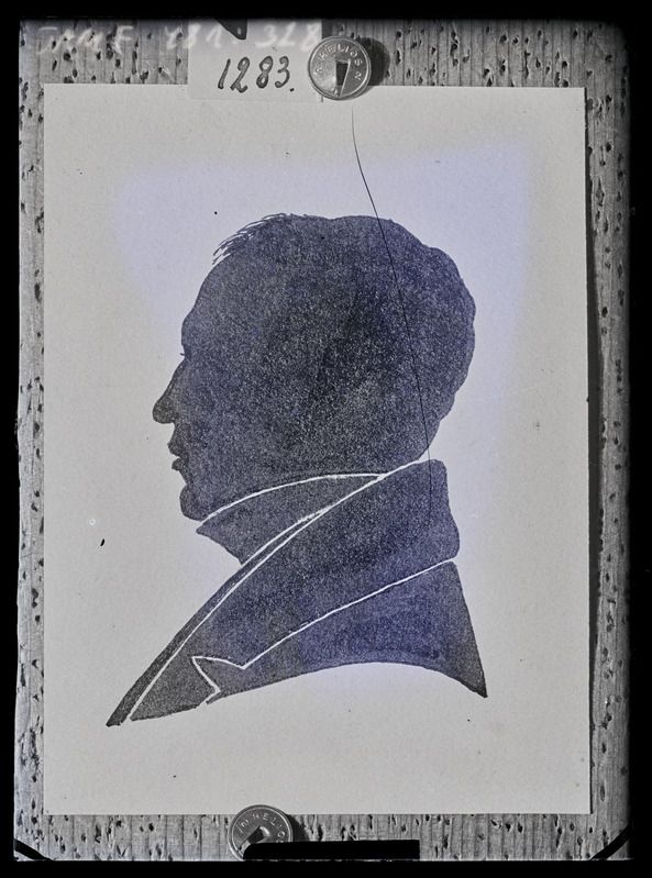 Mehe rindportree profiilis