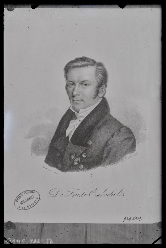 Dr. Friedrich Eschscholtz