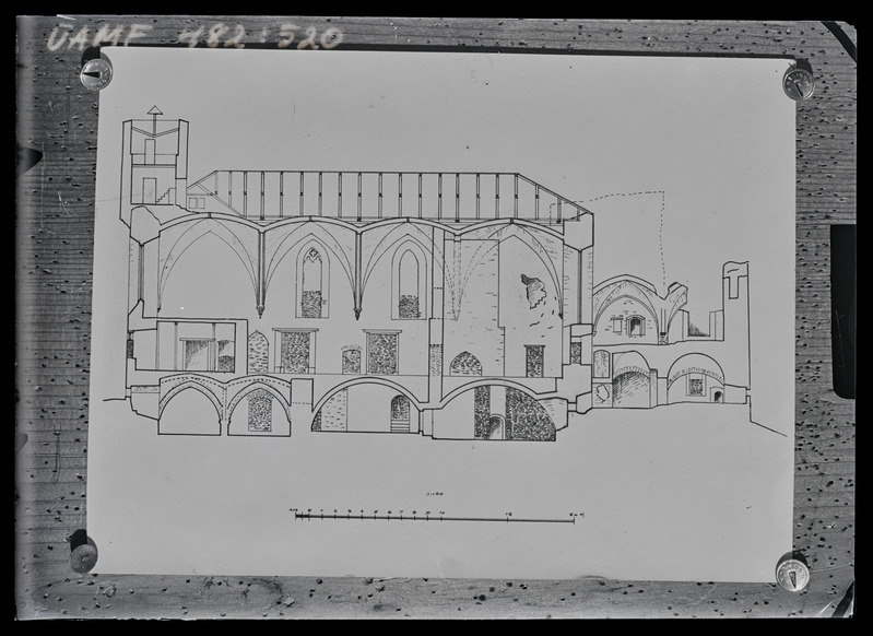 Padise klooster. Kiriku pikilõige