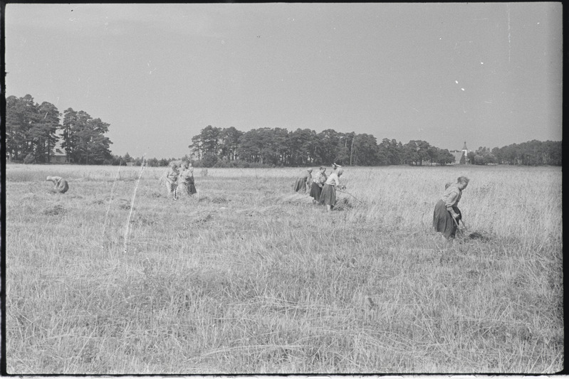Filmi "Kihnu pulmakombed" filmimise ajal tehtud fotod. 1953.-1956. a.