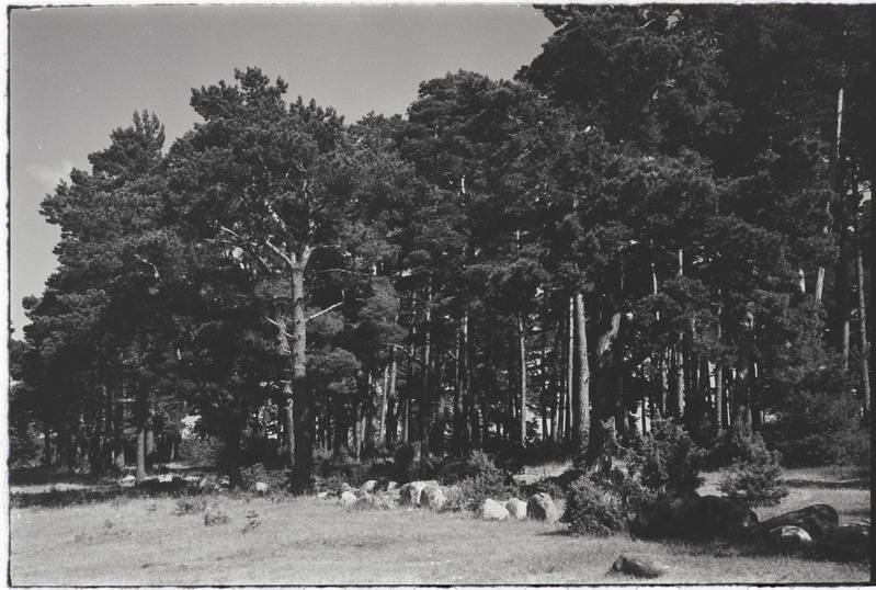 Filmi "Kihnu pulmakombed" filmimise ajal tehtud fotod. 1953.-1956. a.