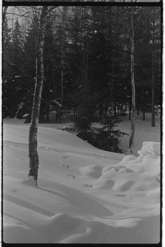 Tartu ülikooli majandusteaduskonna üliõpilased Käärikul puhkelaagris. Veebruar 1976. a.
