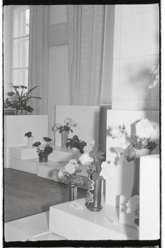 Tartu ülikooli botaanikaaia 175. aastapäeva näitus 1978. a.