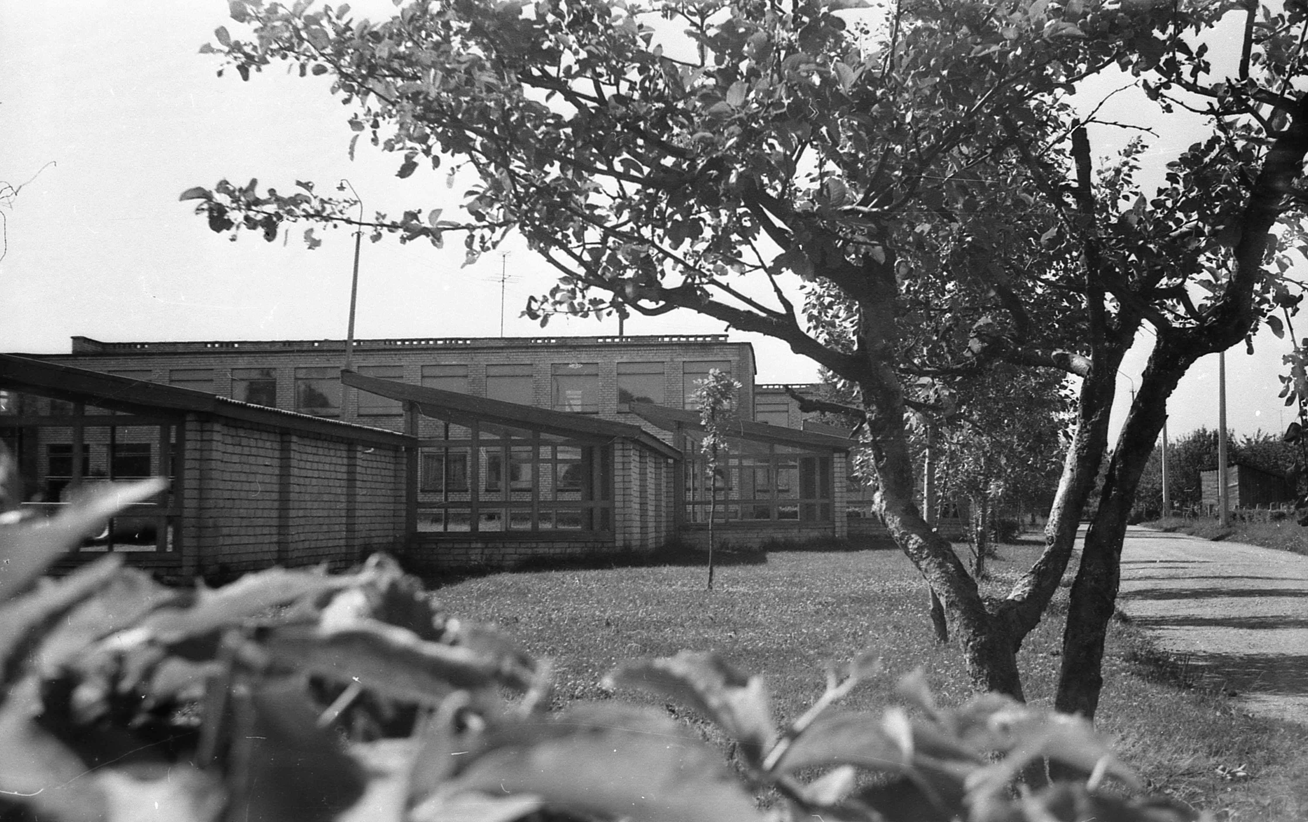 Pärnu Tammsaare Lasteaed 1975.a.