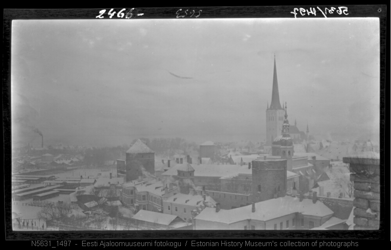 Tallinn. Vaade linnale Patkuli trepilt sadama suunas