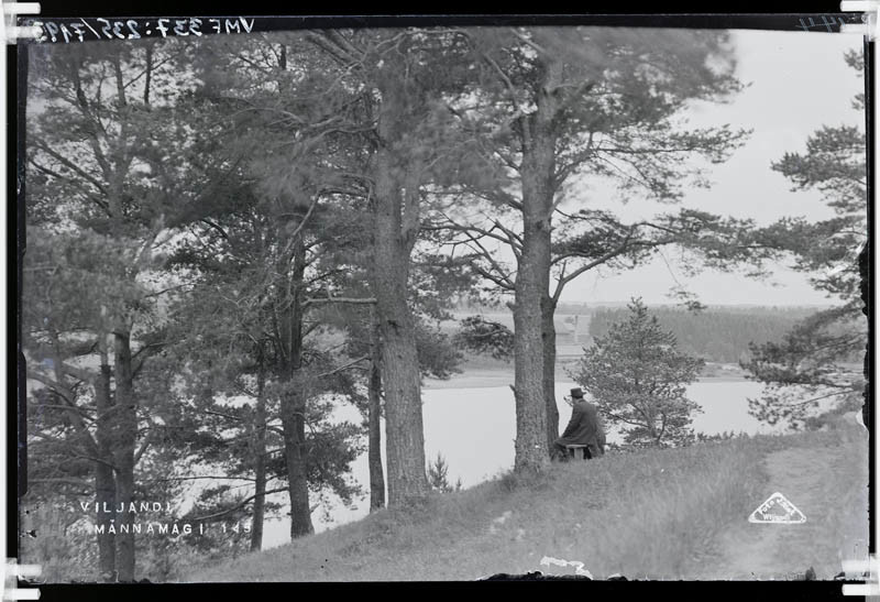 fotonegatiiv, Viljandi, vaade Männimäelt järvele, Sammulile
