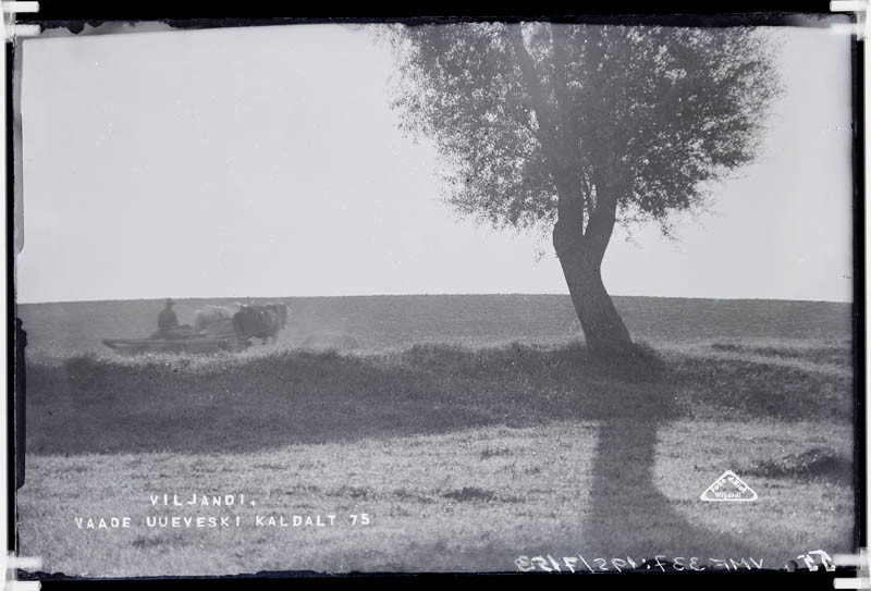 fotonegatiiv, Viljandi, Vaade Uueveski kaldalt põllule, kus on mees hobusega