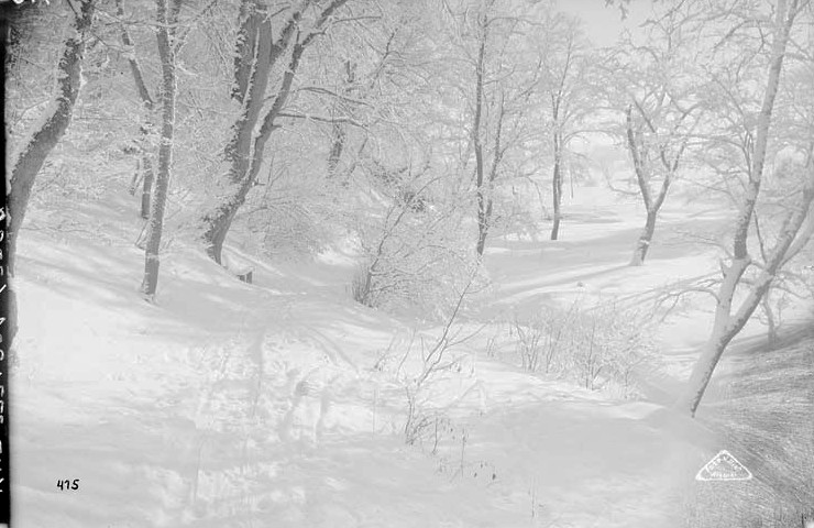 fotonegatiiv, Viljandi, Lossimägedes org talvel