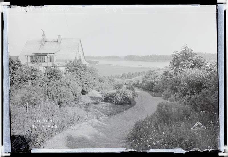 fotonegatiiv, Viljandi, Trepimägi, Viljandi järv