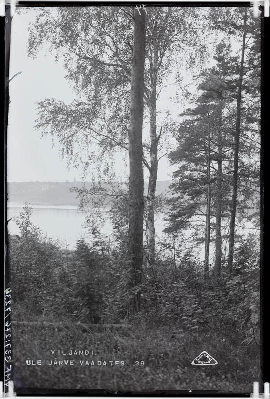 fotonegatiiv, Viljandi, Vaade järve vastaskaldalt järvele, linnale (veetorni, Jaani kiriku ümbruses).