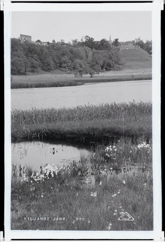 fotonegatiiv, Vaade Viljandi järve vastaskaldalt järvele, lossimägedele (negatiiv pragunenud ja hele).