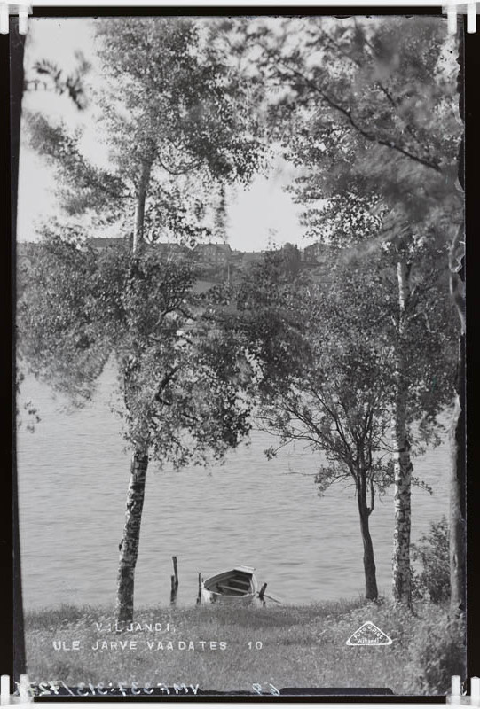 fotonegatiiv, Vaade osale Viljandi linnast, järvele vastaskaldalt (esiplaanil puud ja paat)