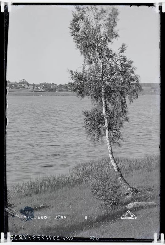 fotonegatiiv, Vaade Viljandi järve kaldalt Sammuli ümbrusele.