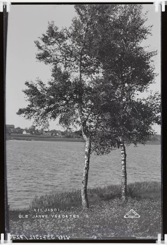 fotonegatiiv, Vaade Viljandi linnast järve vastaskaldalt (esiplaanil kaks kaske)