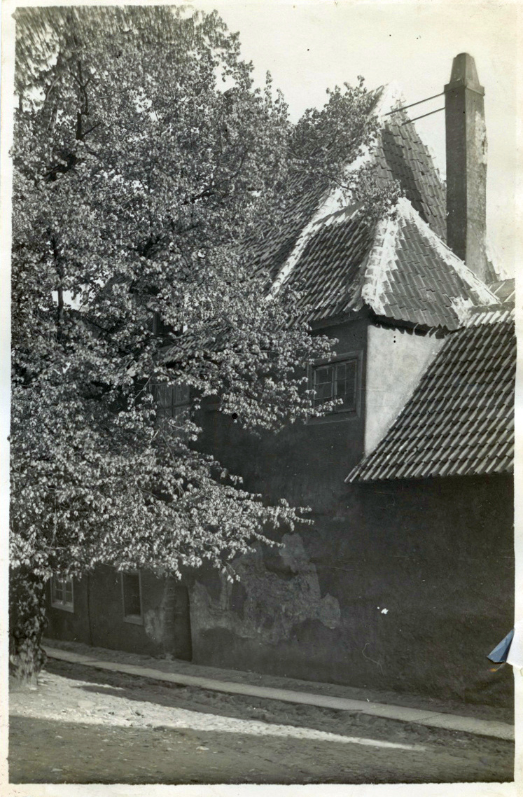 Tallinn, Niguliste kiriku õpetajamaja Kelchi pärnaga.