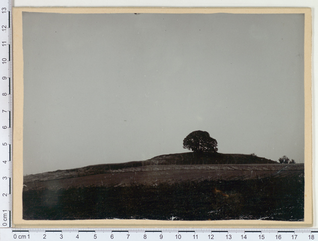 Hiie mägi Vändra khk, Selle v, Kastna k, Peetri - Hansu t põllul 1913