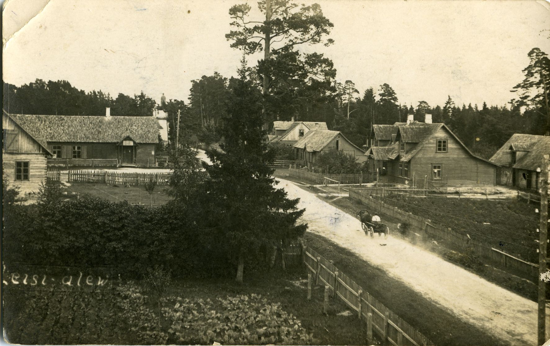 Leisi alev, vaade ülevalt, teel hobuvanker