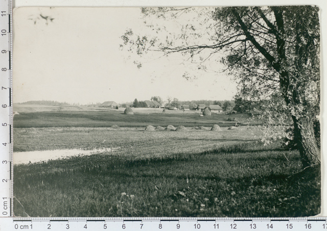 Tartumaa, county near Luunja 1913