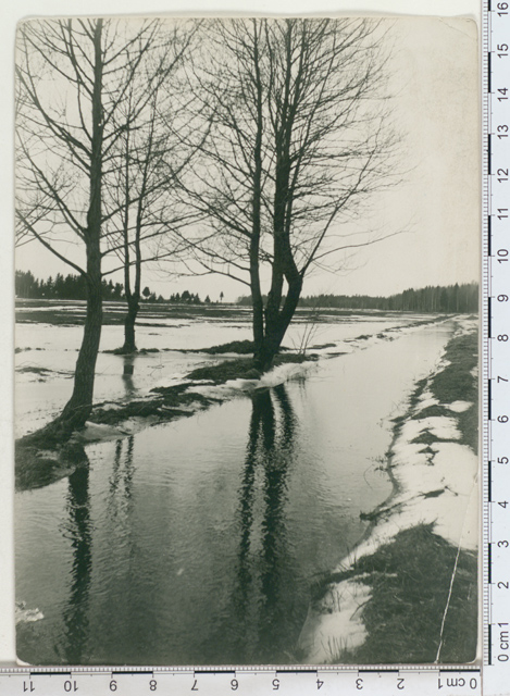 Spring water during snowfall 1913