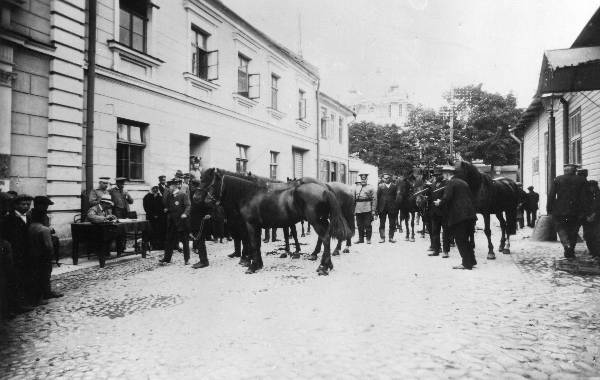 Kompanii t: hobuste rekvireerimine, juures sõjaväeametnikud. Tartu, 1914. Repro: E. Selleke.