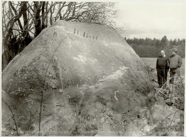 foto,  kivi, millest murti Tammsaare monumendi ja Vabadussõja ausamba rahnud, 1992