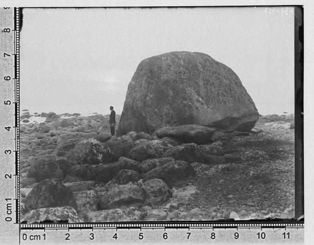 Suur kivi Purekkari neemel, Kuusalu khk., 1920