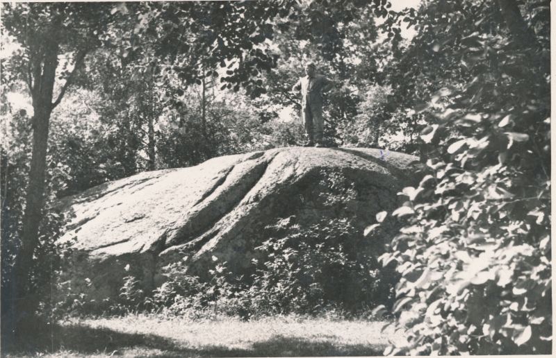 Foto. "Kukka" kivi Hiiumaal. Rändrahn ümbermõõduga 42m. 1965 aug. Fotogr. R. Kalk.