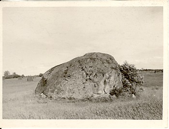Photo, sacrifice stone in Viisu village in the land of Leelu farm in 1961.