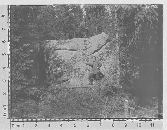 Suurem rändrahn Eisma lähedal metsas, Virumaa, Haljala khk., 1920