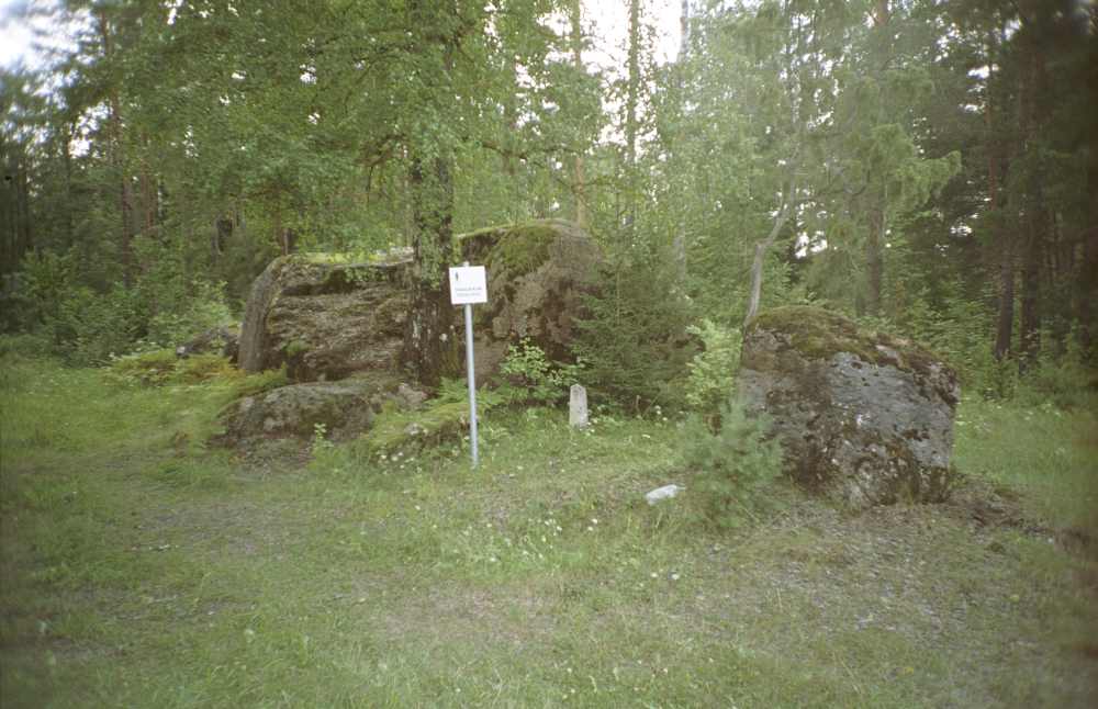 Eedu stone in Nõmmemaa