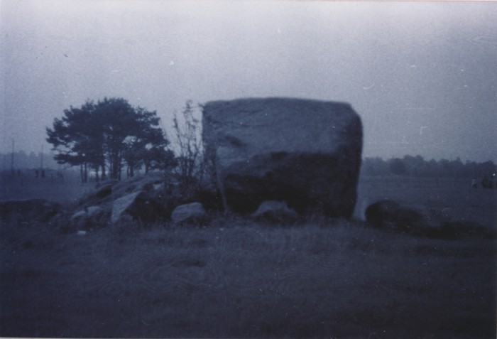 Photo. Stone Kukka k