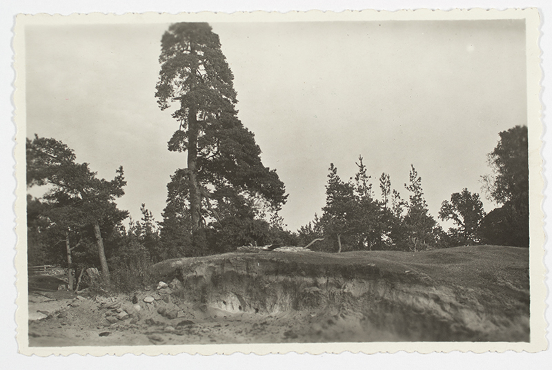 Ruhnu. Cut through the sand quadruple. The darker and white layers accumulated by the wind vary.