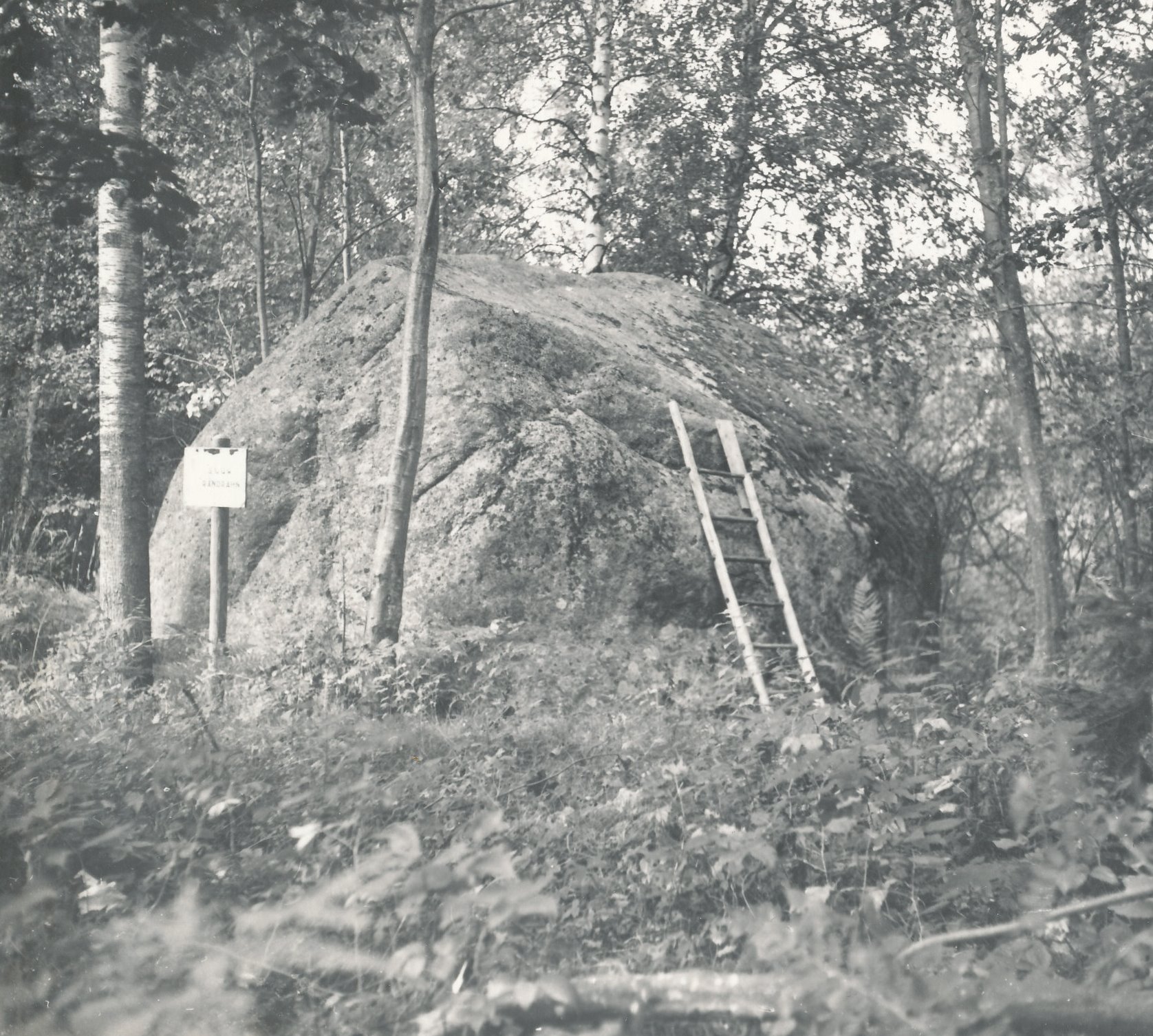 Foto. Pütsepa suurkivi Vastseliina lähedal Pütsepa külas.